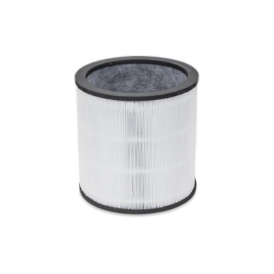 DYSON 972425-01 Evo Carbon Filter Retail for HP00/HP01/HP02/HP03/DP01/DP03